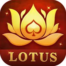 rummy championship download